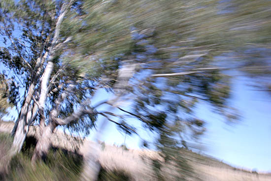 autor: Sofia Quintas