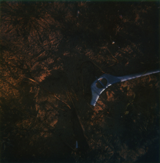 autor : paulo rodrigues                    