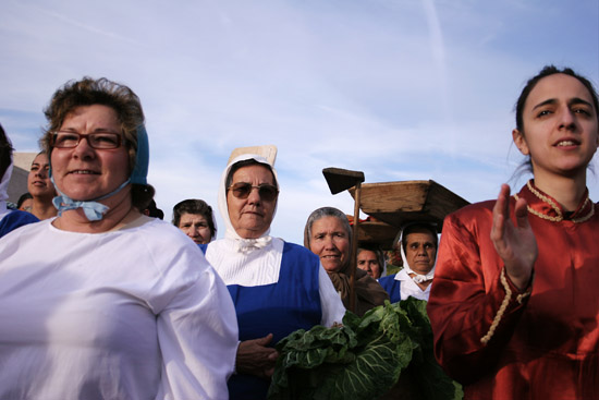 auteur: Sofia Quintas