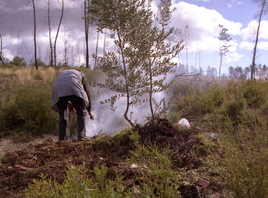 autor: Rui Dias Monteiro