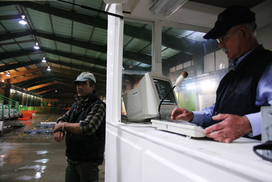 autor: Sofia Quintas