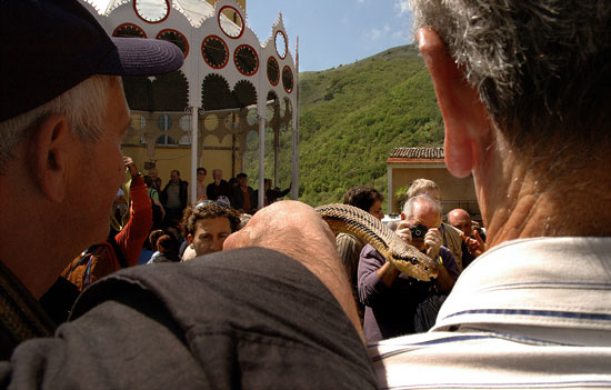 auteur: Patricia Moreira