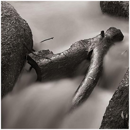 autor : Carlos Matos                    t&iacute;tulo: Rio-Ocreza-05_VI