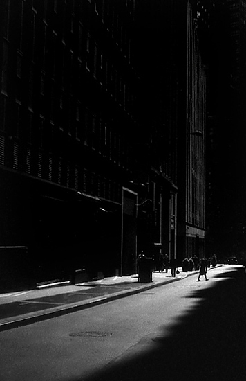 autor: Manuel Luís Cochofel