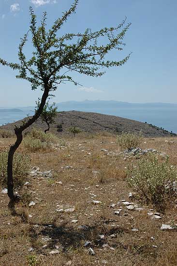 autor: Yves Rousselet
t&iacute;tulo: Pas si loin ... l