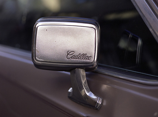 autor: Manuel Luís Cochofel