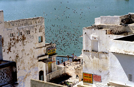 autor: Dariusz Klemens