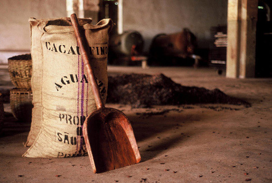 author : Tânia Araújo                    