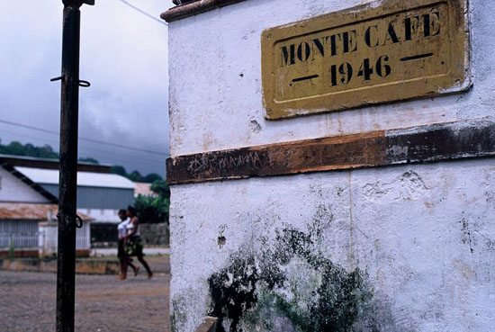 autor: Tânia Araújo