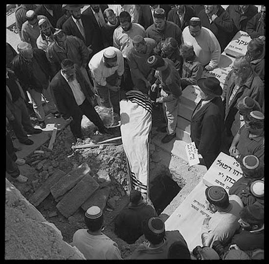 autor: Damien Lafargue