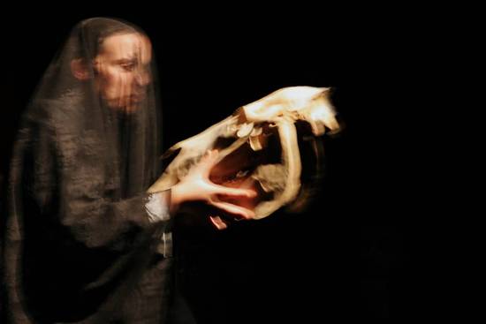 autor: Sofia Quintas