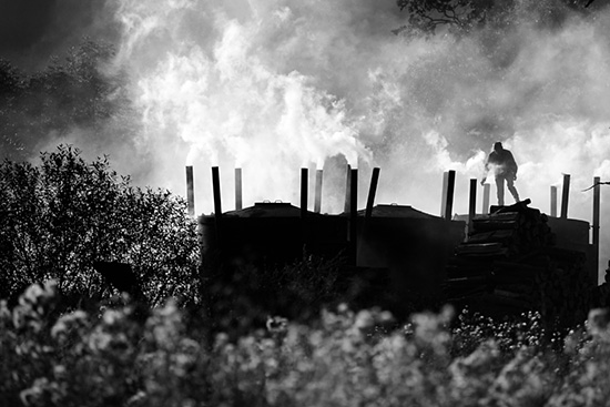 autor: António Luís Campos