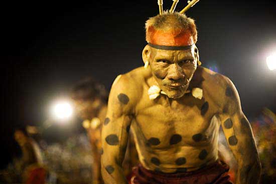 autor: Tatiana Cardeal