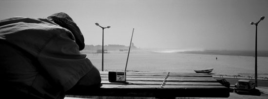 autor: Luísa Ferreira