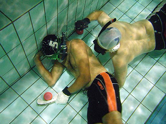 autor: Rodrigo Cabrita
t&iacute;tulo: Hóquei Subaquático