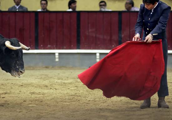 autor: Sofia Quintas