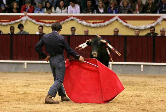 autor: Sofia Quintas