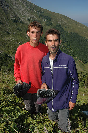 autor : Yves Rousselet                    t&iacute;tulo: Des cueilleurs de myrtilles