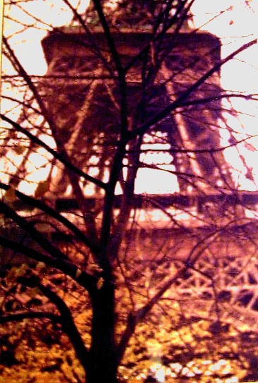 autor: João Varela
t&iacute;tulo: Árvore