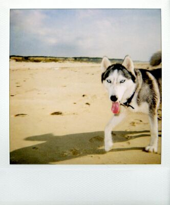 autor: Sofia Quintas
t&iacute;tulo: #7