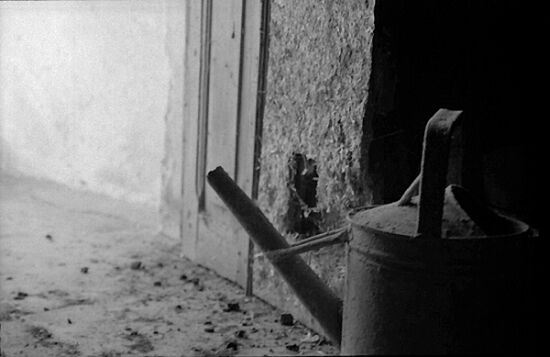 autor: Sofia Quintas
t&iacute;tulo: #9