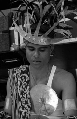 autor: Sofia Quintas