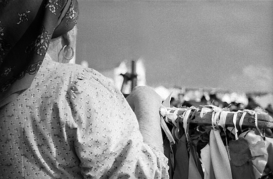 autor: Sofia Quintas