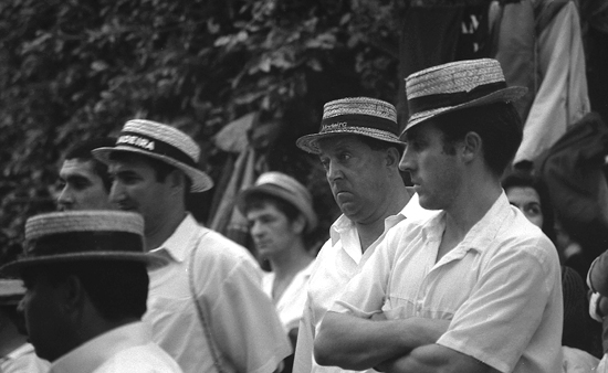 author : João Varela                    title: Carreiros - II