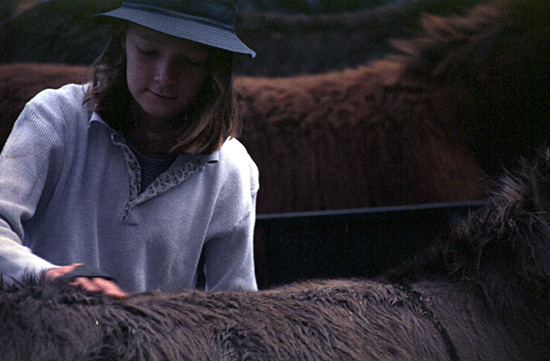 autor: paulo rodrigues