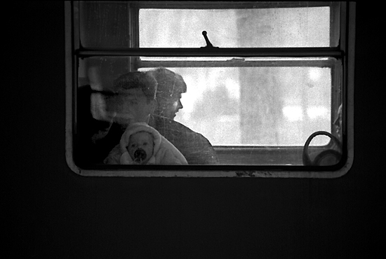 autor: Sofia Quintas