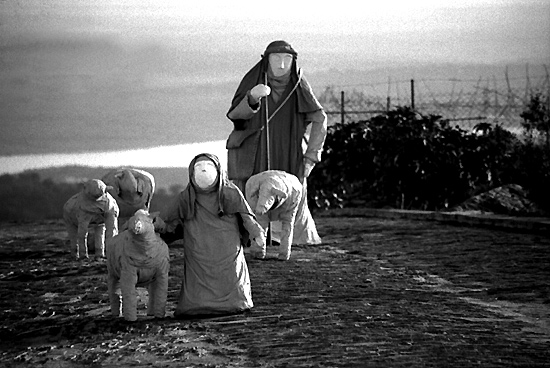 author : Sofia Quintas                    