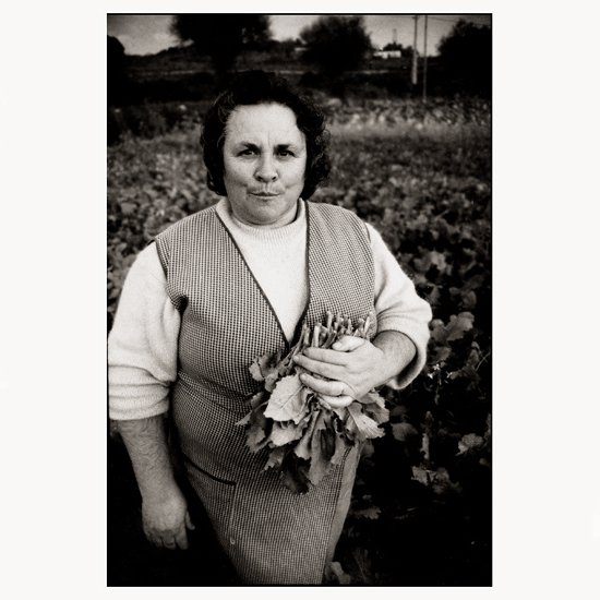 autor: Raquel Moura
t&iacute;tulo: untitled