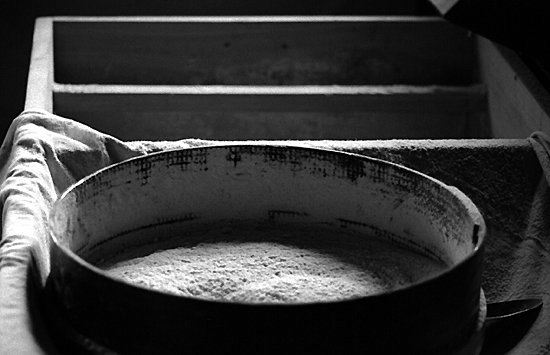 autor: Sofia Quintas