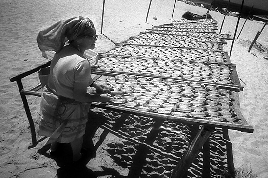 author: Manuel Luís Cochofel