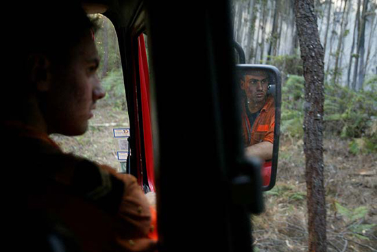 auteur : João  Carvalho Pina                    