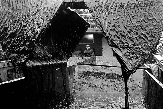 autor: João  Carvalho Pina