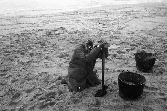 autor : João  Carvalho Pina                    