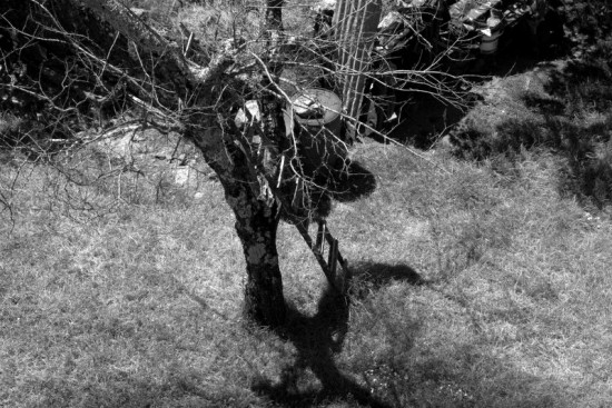 autor: paulo rodrigues