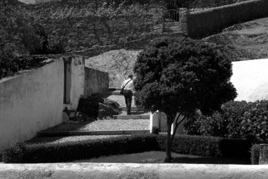 autor: paulo rodrigues