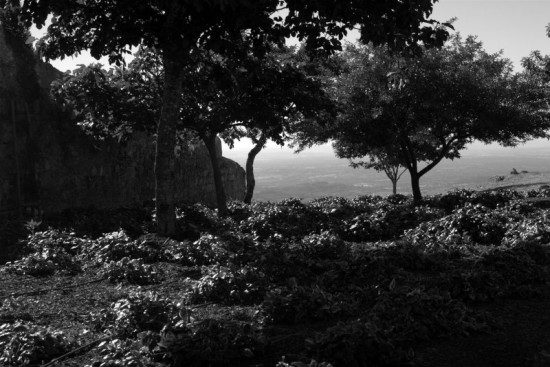 autor: paulo rodrigues