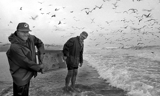 auteur: João Varela