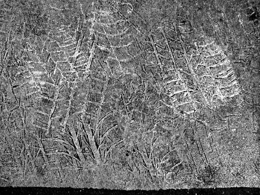 autor: Alain-Gilles Bastide
t&iacute;tulo: Place des Fêtes