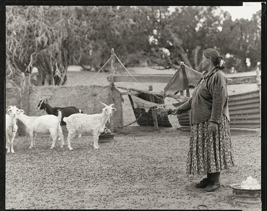 autor : Gary Auerbach                    t&iacute;tulo: Elvira Horseherder (side)