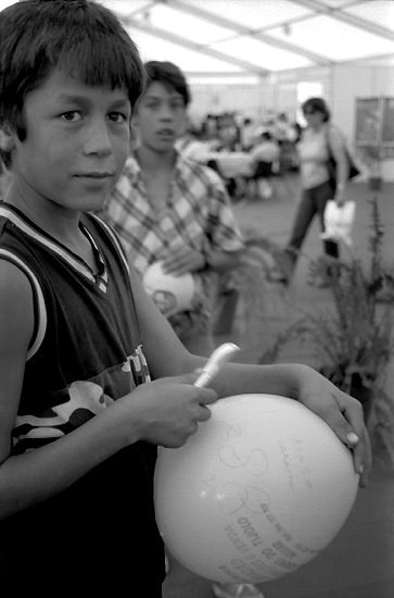 autor: Sofia Quintas