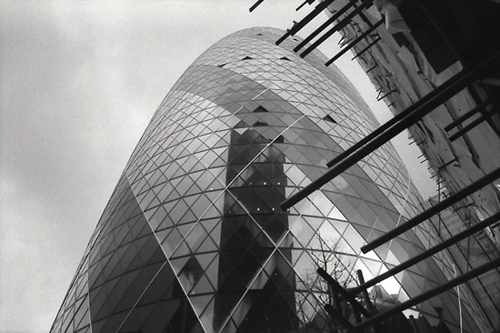 autor: Manuel Luís Cochofel