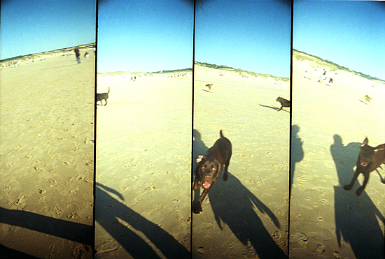 autor: Sofia Quintas