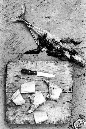 autor: Txomin  Txueka