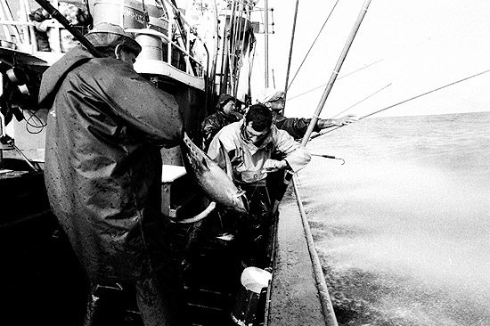 autor: Txomin  Txueka