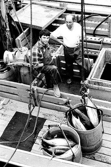 autor: Txomin  Txueka