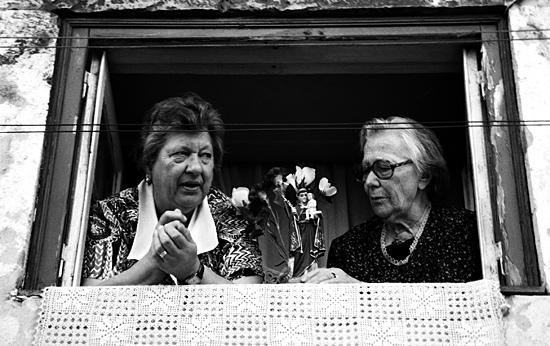 autor: Sofia Quintas